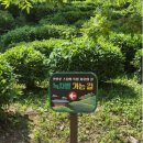 다솔사 - 1892 | 사천가볼만한곳 다솔사 사천여행 다솔사주차 다솔사차밭 사천9경 솔직후기