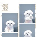 멍캐슬 이미지