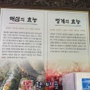 황비물회 이미지