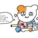 슈가아앙 이미지