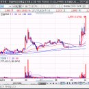 파인PNS