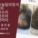 모블링스 네이버블로그