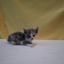 임피면 주민센터 이미지