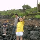 호도하우스 이미지