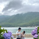 초록마을부산거제점 | 거제 저구항 수국동산 실시간 | 7월 거제 수국 명소 개화 상황, 포토존