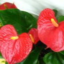 양학동주민센터 이미지