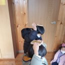 장승초등학교(병설) 이미지