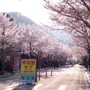 모악산주차장 이미지