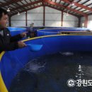 (주)연어 이미지