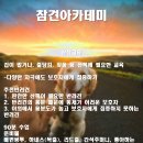 참견아카데미 이미지