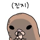 가야메디칼 이미지