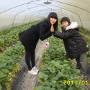 한솔이네농장 이미지