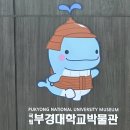 부경대학교 청운관 이미지