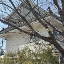 금정산성카페 날 좋을 때, 탁 트인 마운틴뷰 :: 카페지수 솔직방문후기