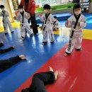 합기도 호신술 이미지