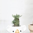 영전농장 이미지