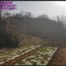 금서면사무소 이미지