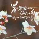 캘리 이미지