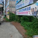 9월12토요일10시 칠곡군 종합운동장(왜관읍) 이미지