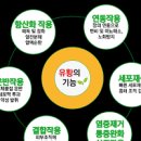 유황의 효능, 식이유황 MSM 효능 및 부작용 (유황가루) 이미지