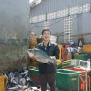 아라수산 이미지