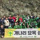 개나리마을 이미지