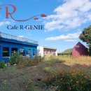 알지니포레스트 이미지