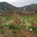 삼삼오오농장 이미지