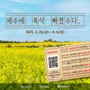 (주)제주신화항공여행사 이미지