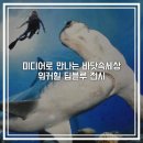 더 빛나개(the 빛나개) | 워커힐 빛의시어터 딥블루 전시 리뷰 : 아이와 함께 방학에 볼 미디어아트 전시회