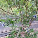 우리농원 이미지