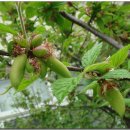 수일여자중학교 이미지