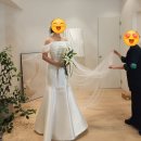 Wedding# 24년 11월 예식 지금까지 시기별 준비사항