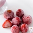 백프로닷컴 이미지