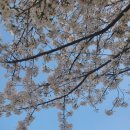 영강체육공원길 이미지