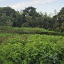 안녕아가 이미지