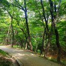 봉명산 이미지