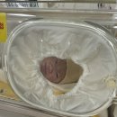 효성건재 | 출산 일기 (38w5d, 효성병원 둘라선생님과 함께하는 자연분만)