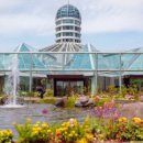 제주참더덕과흑돼지 이미지