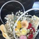 25.02 대전 은행동 [뽀빠이] popeye 양식
