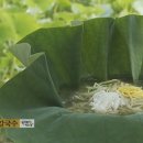 화랑농원