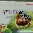굿모닝인력 이미지
