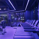 머스트핏 이미지