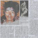 예능나라 이미지