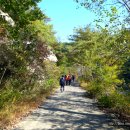 덕평청소년수련원 이미지