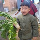 둔산큰별어린이집 | 직장어린이집, 철원 동송 ‘푸른별 어린이집’ 1년 재원 후기