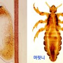 아토웰의원 이미지