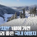 한치로1 이미지