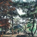 나무새 관광농원 이미지