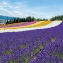 국철농장 이미지